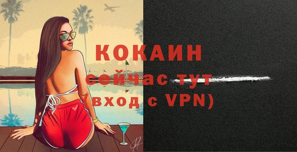 прущие грибы Тихвин