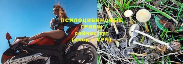 Альфа ПВП Нефтегорск