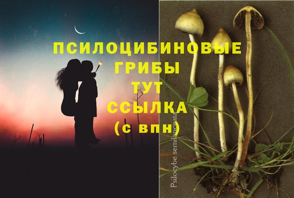 винт Нея