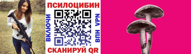 где найти   даркнет клад  Псилоцибиновые грибы MAGIC MUSHROOMS  Серов  ссылка на мегу ссылки 