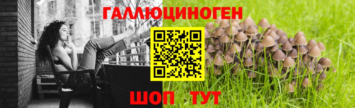 Псилоцибиновые грибы мицелий  Вход с VPN  Серов 